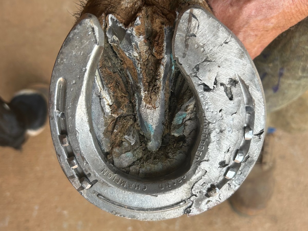 Medial/Lateral Imbalance